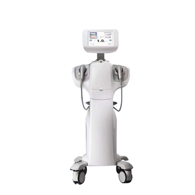 Tiêu âm tập trung cường độ cao Hifu Vaginals Care Rejuvenation Vaginas Tightening Machine